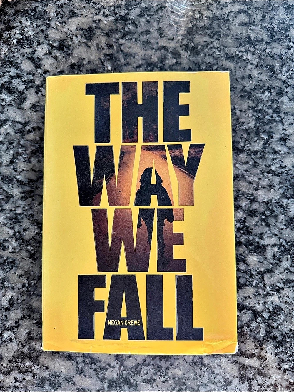 Hyperion The Way We Fall Young Adult Novel